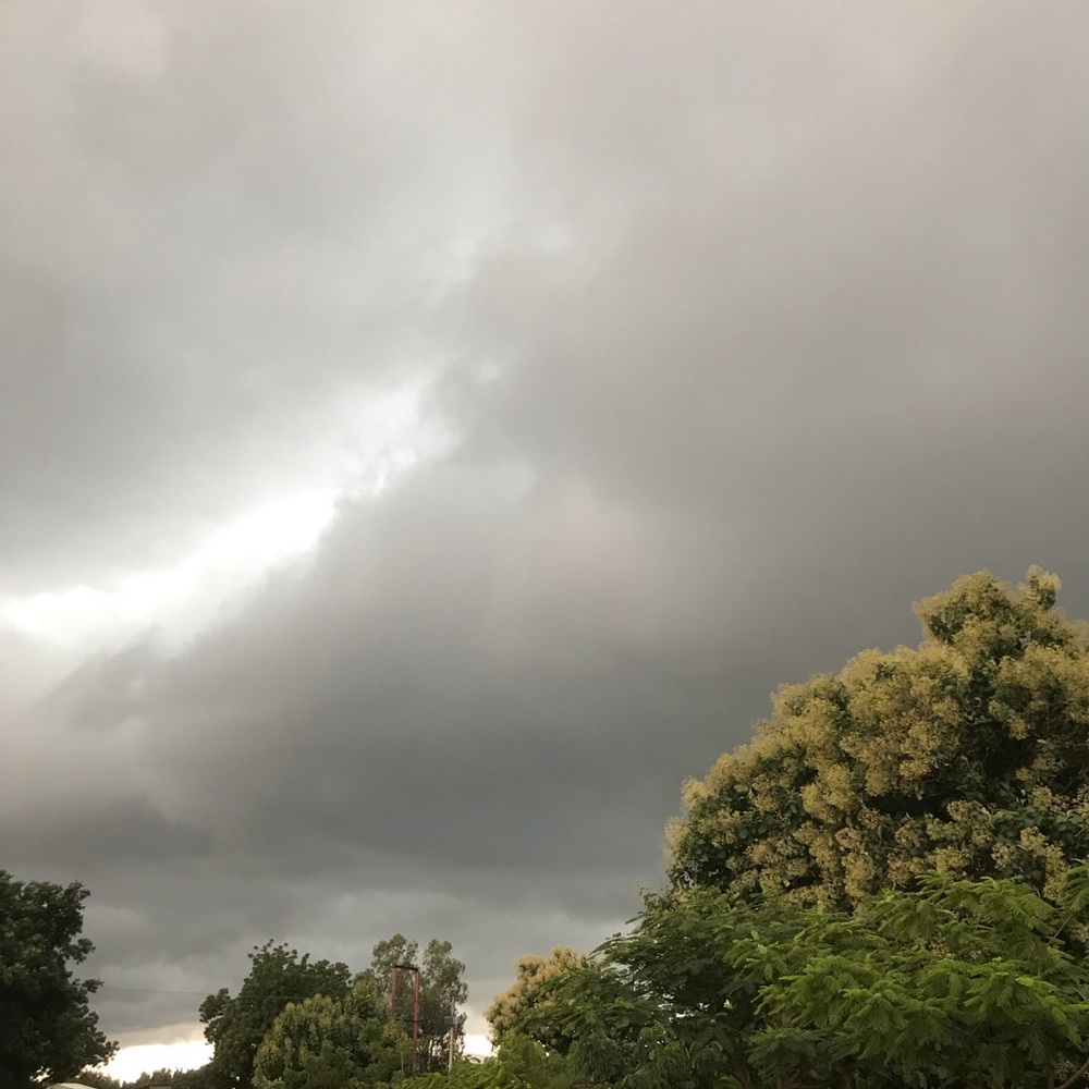 Meet your Posher, Rosalyn